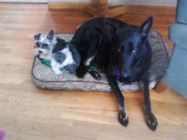 Sadie & Milli