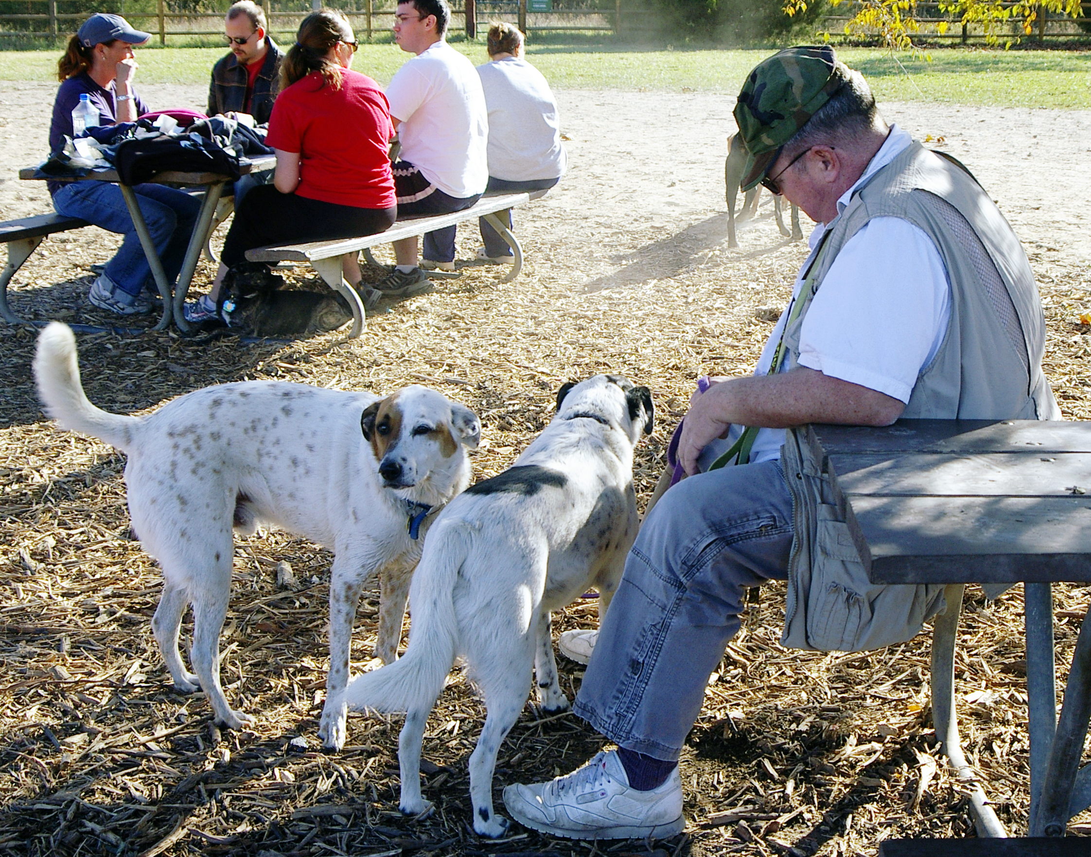 Paul, Buddy, & Angel