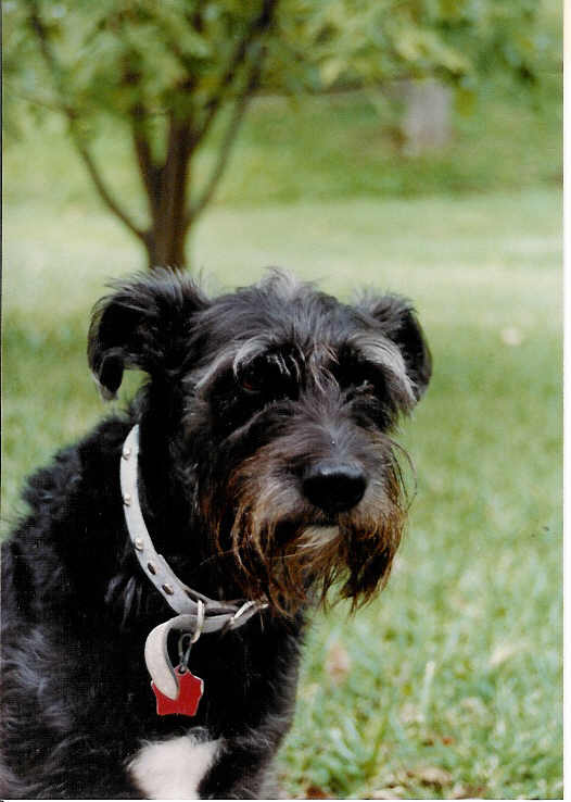 Pepper