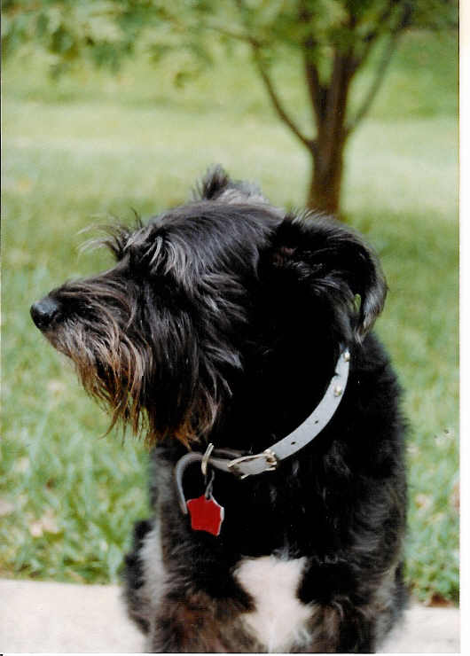 Pepper