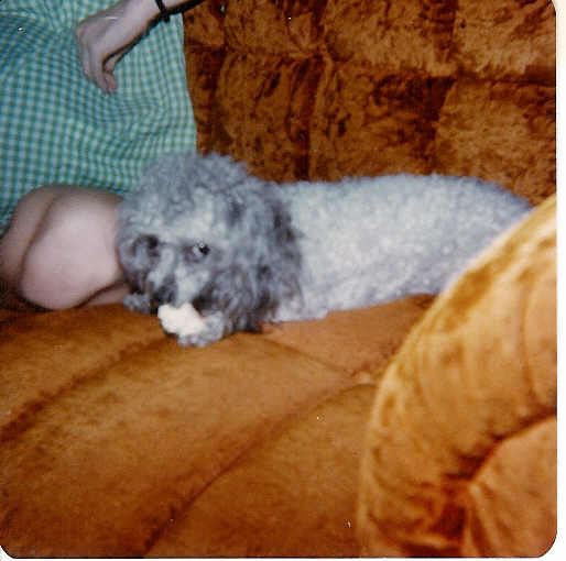 Paul & Cricket
